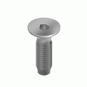 M10 30MM Havşabaşlı Civata