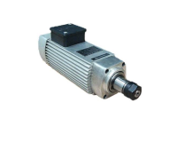 Spindle Motorlar